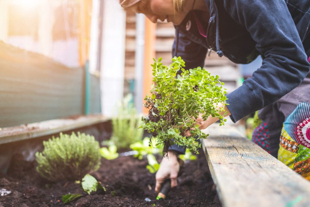 gardeningsbi
